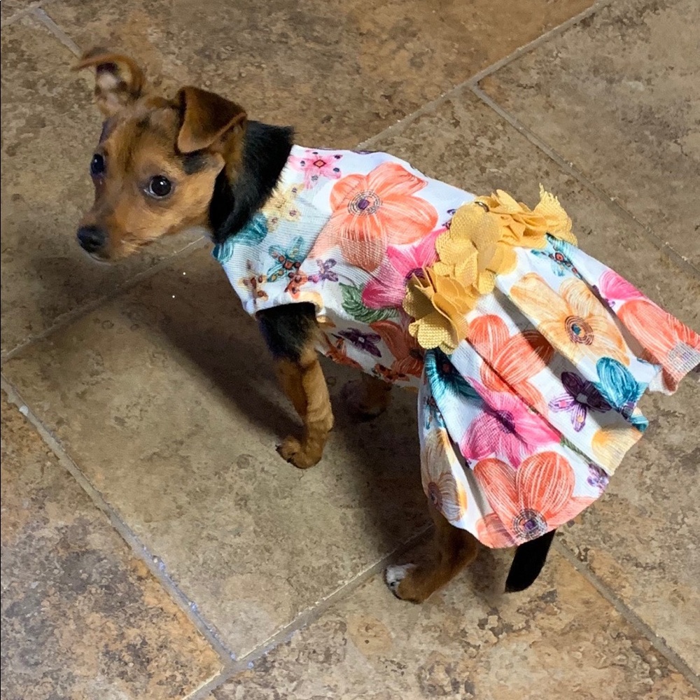 Meet your Posher, Jackie